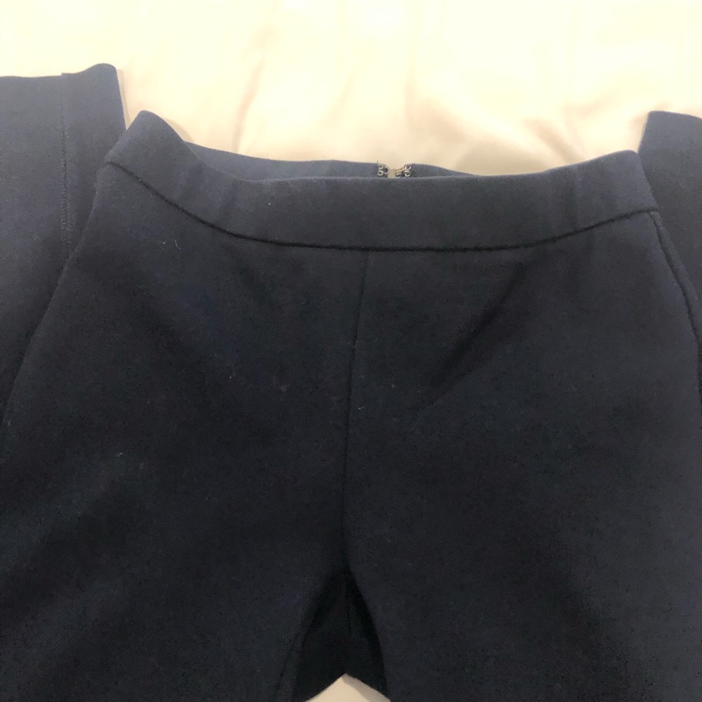 Jcrew Blue Pixie Pants - image 4